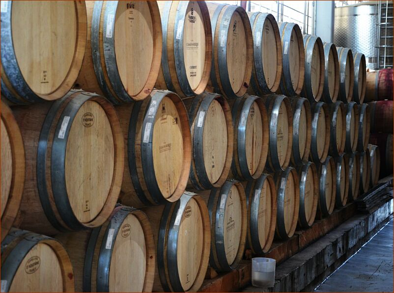 Vineyard2 - barrels